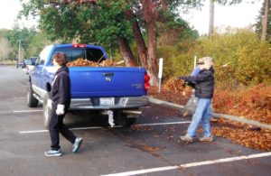 Sally has her truck full of leaves to take to Cascade Bark