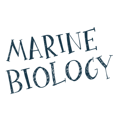 Marine-biology (1)