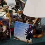 Sally's Eclectic Moose Collection